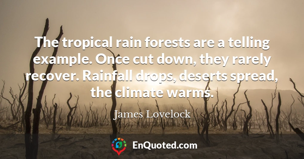 The tropical rain forests are a telling example. Once cut down, they rarely recover. Rainfall drops, deserts spread, the climate warms.