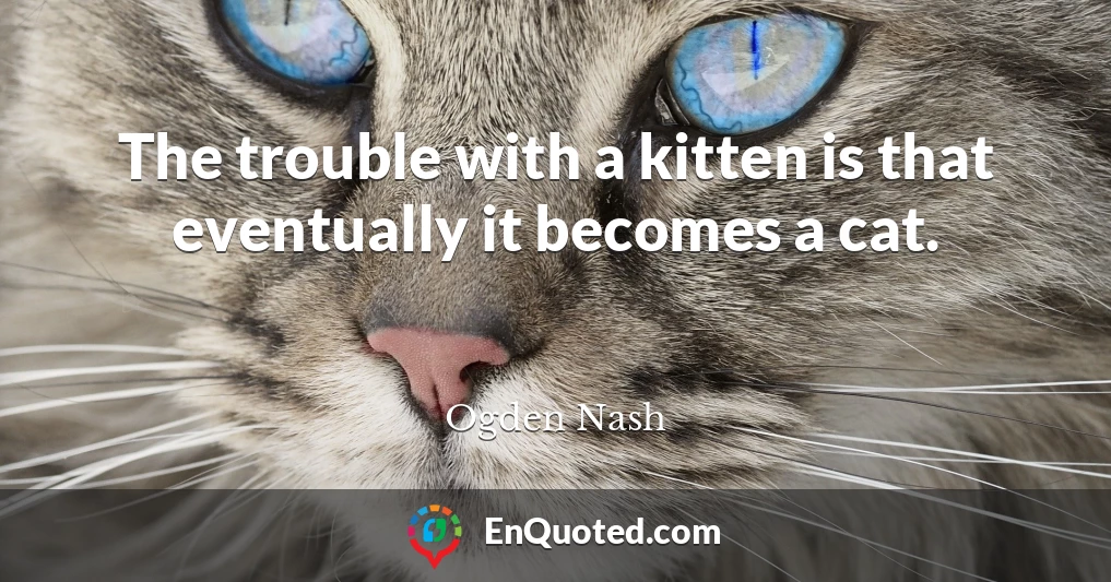 The trouble with a kitten is that eventually it becomes a cat.