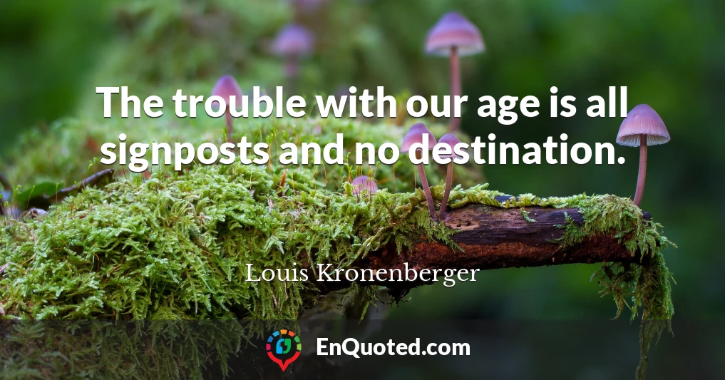 The trouble with our age is all signposts and no destination.