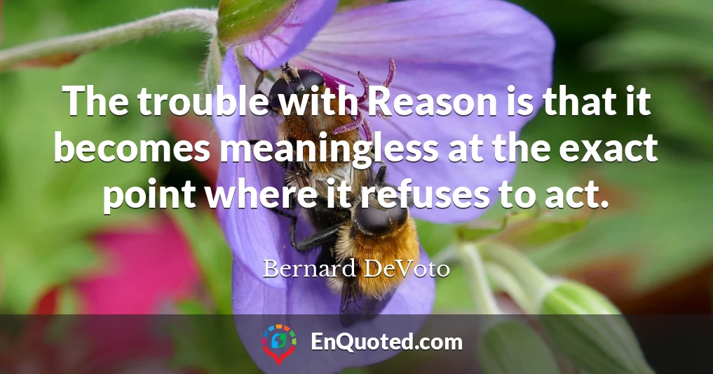 The trouble with Reason is that it becomes meaningless at the exact point where it refuses to act.