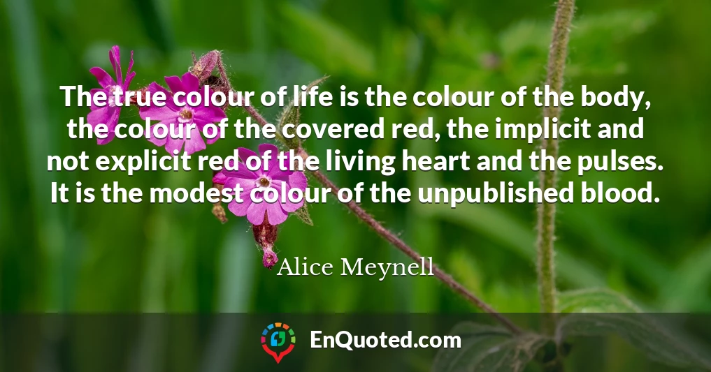 The true colour of life is the colour of the body, the colour of the covered red, the implicit and not explicit red of the living heart and the pulses. It is the modest colour of the unpublished blood.