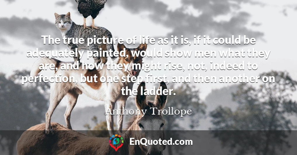 The true picture of life as it is, if it could be adequately painted, would show men what they are, and how they might rise, not, indeed to perfection, but one step first, and then another on the ladder.