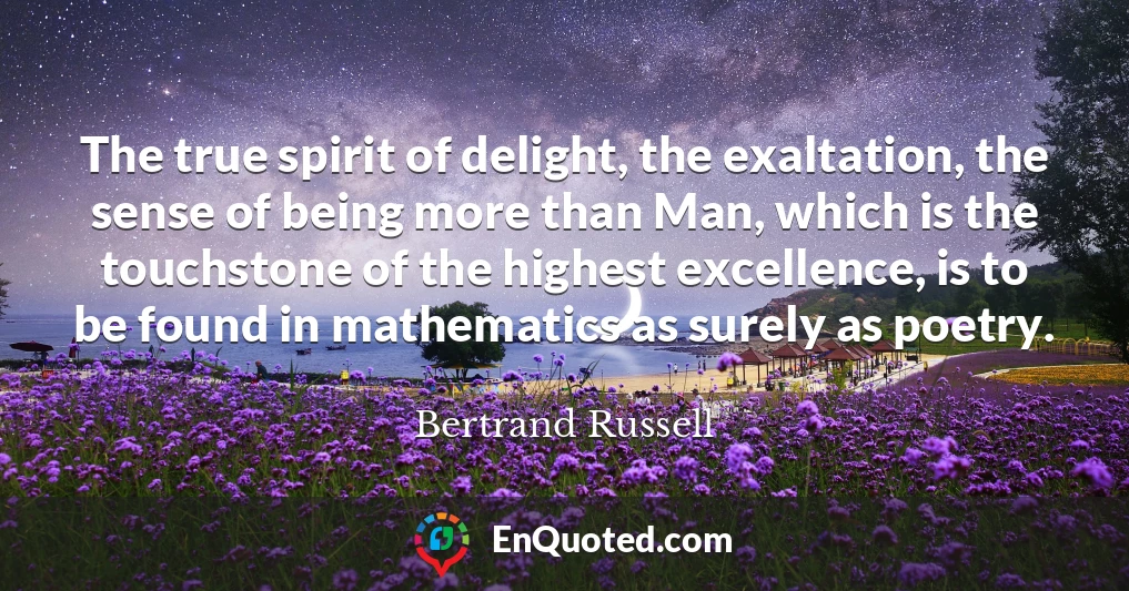The true spirit of delight, the exaltation, the sense of being more than Man, which is the touchstone of the highest excellence, is to be found in mathematics as surely as poetry.