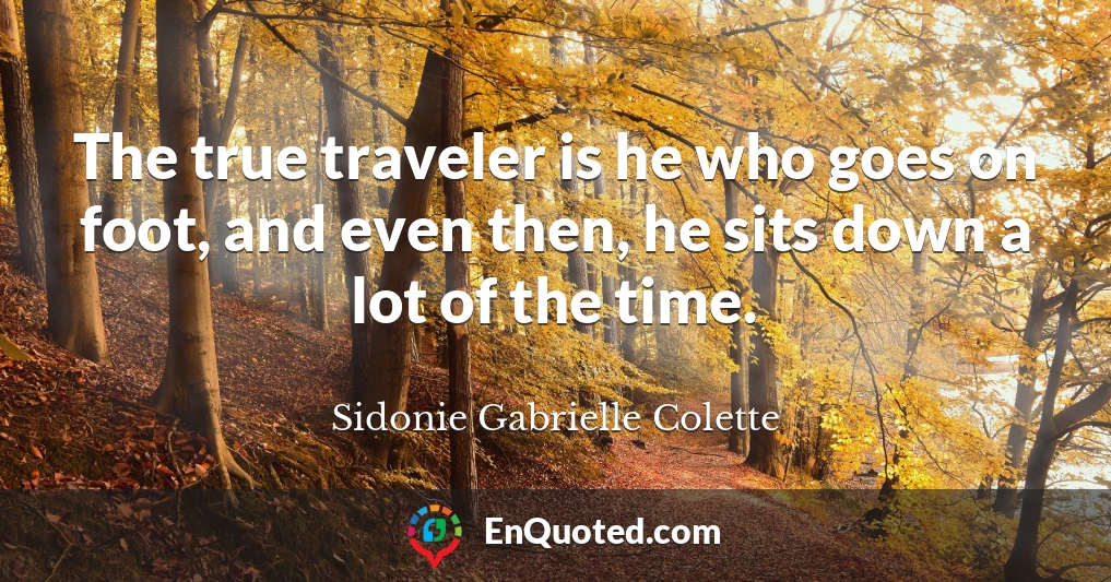 The true traveler is he who goes on foot, and even then, he sits down a lot of the time.