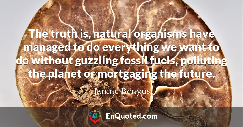The truth is, natural organisms have managed to do everything we want to do without guzzling fossil fuels, polluting the planet or mortgaging the future.
