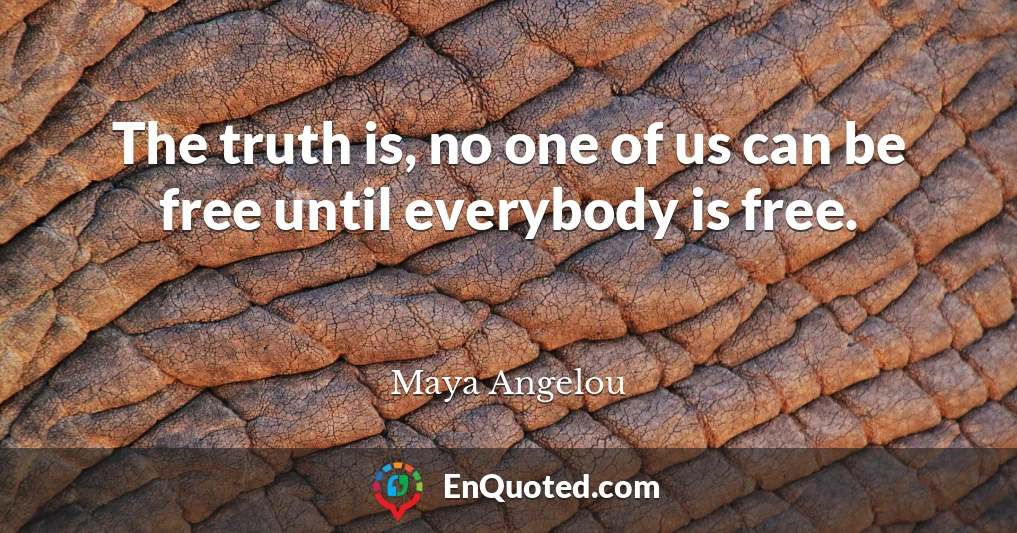 The truth is, no one of us can be free until everybody is free.