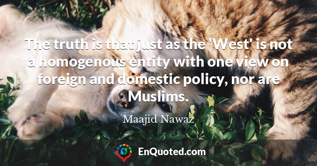 The truth is that just as the 'West' is not a homogenous entity with one view on foreign and domestic policy, nor are Muslims.