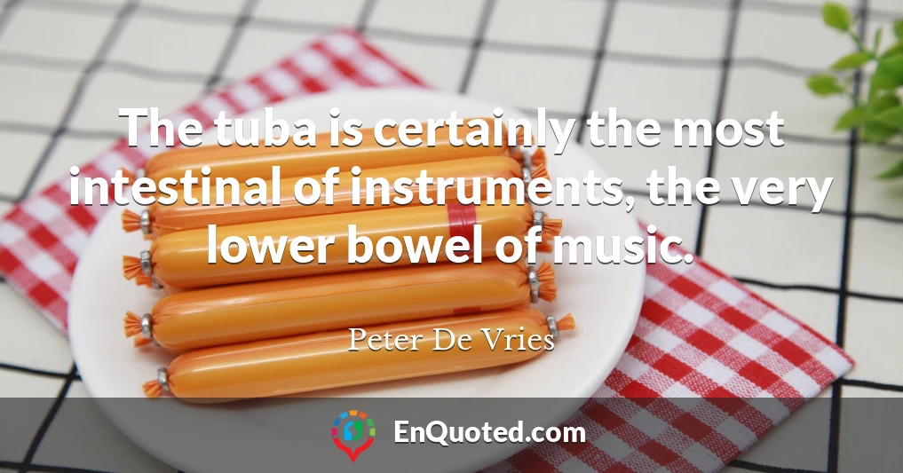 The tuba is certainly the most intestinal of instruments, the very lower bowel of music.