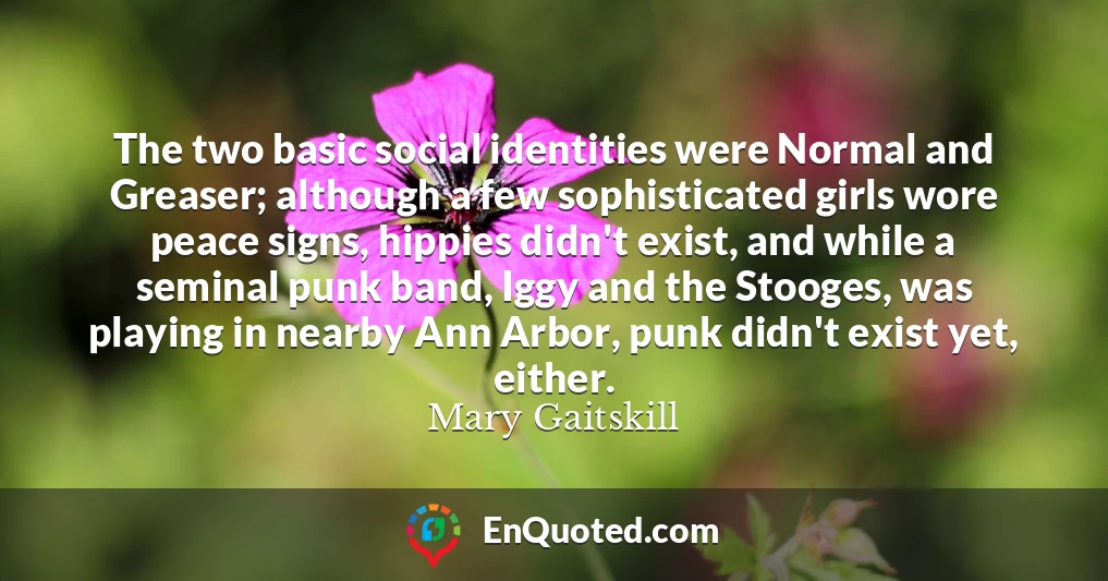The two basic social identities were Normal and Greaser; although a few sophisticated girls wore peace signs, hippies didn't exist, and while a seminal punk band, Iggy and the Stooges, was playing in nearby Ann Arbor, punk didn't exist yet, either.