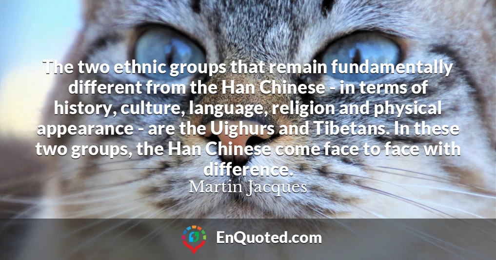 The two ethnic groups that remain fundamentally different from the Han Chinese - in terms of history, culture, language, religion and physical appearance - are the Uighurs and Tibetans. In these two groups, the Han Chinese come face to face with difference.