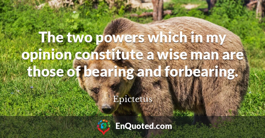 The two powers which in my opinion constitute a wise man are those of bearing and forbearing.