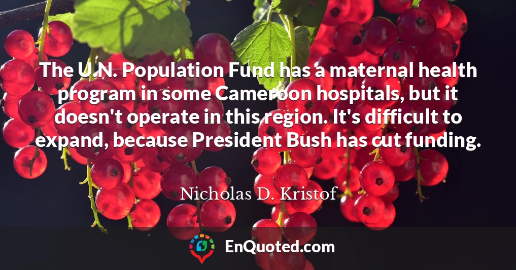 The U.N. Population Fund has a maternal health program in some Cameroon hospitals, but it doesn't operate in this region. It's difficult to expand, because President Bush has cut funding.