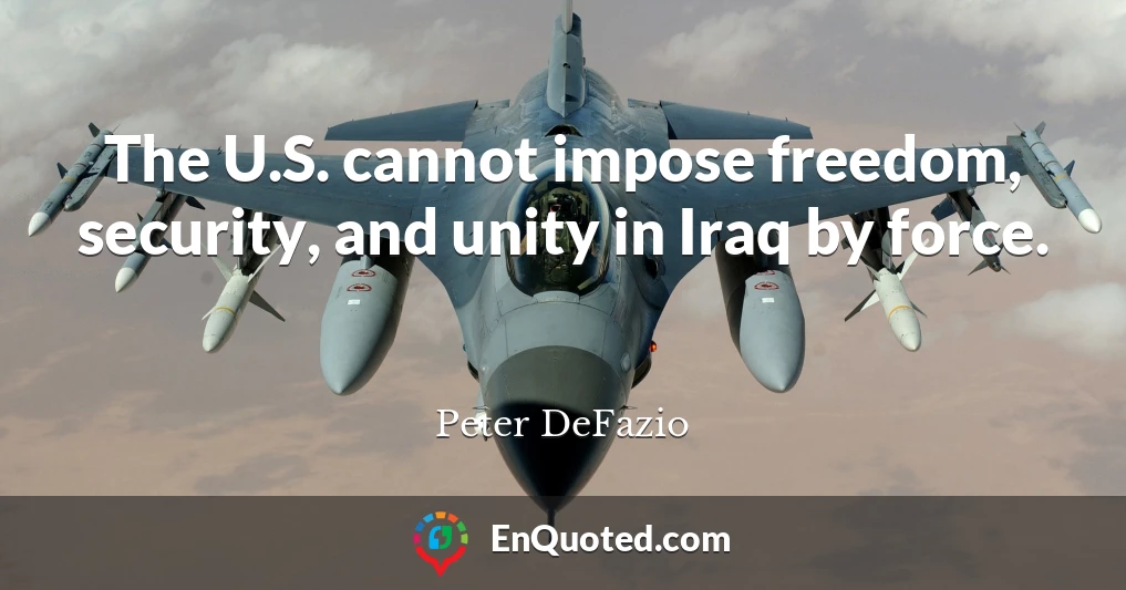 The U.S. cannot impose freedom, security, and unity in Iraq by force.
