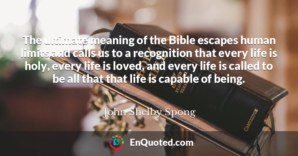 The ultimate meaning of the Bible escapes human limits and calls us to a recognition that every life is holy, every life is loved, and every life is called to be all that that life is capable of being.