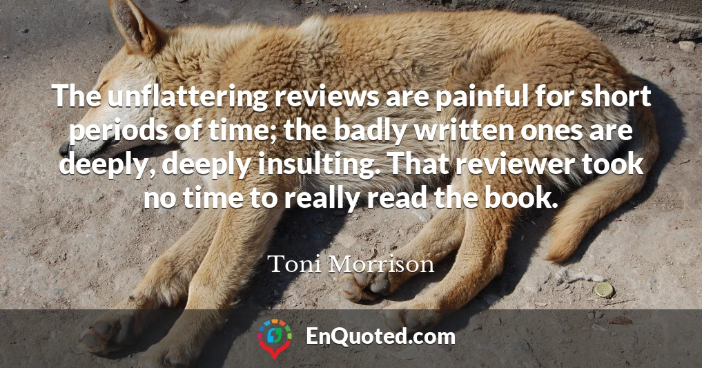 The unflattering reviews are painful for short periods of time; the badly written ones are deeply, deeply insulting. That reviewer took no time to really read the book.