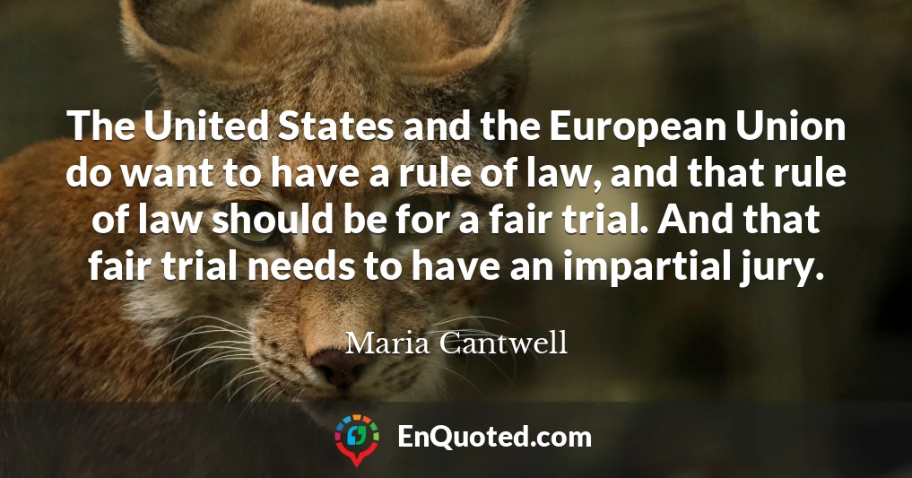 The United States and the European Union do want to have a rule of law, and that rule of law should be for a fair trial. And that fair trial needs to have an impartial jury.