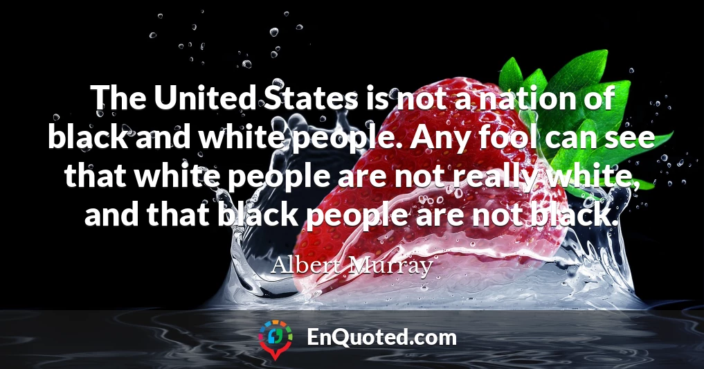 The United States is not a nation of black and white people. Any fool can see that white people are not really white, and that black people are not black.