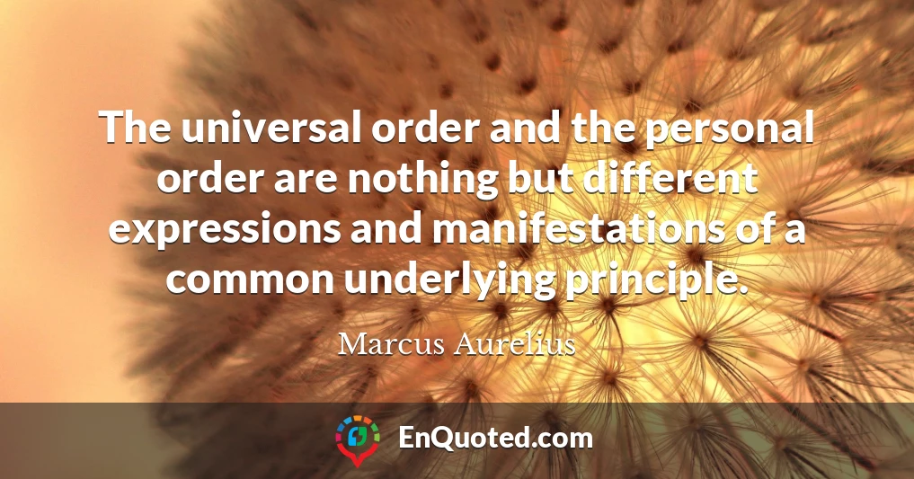 The universal order and the personal order are nothing but different expressions and manifestations of a common underlying principle.