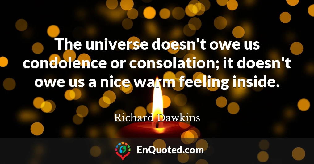The universe doesn't owe us condolence or consolation; it doesn't owe us a nice warm feeling inside.