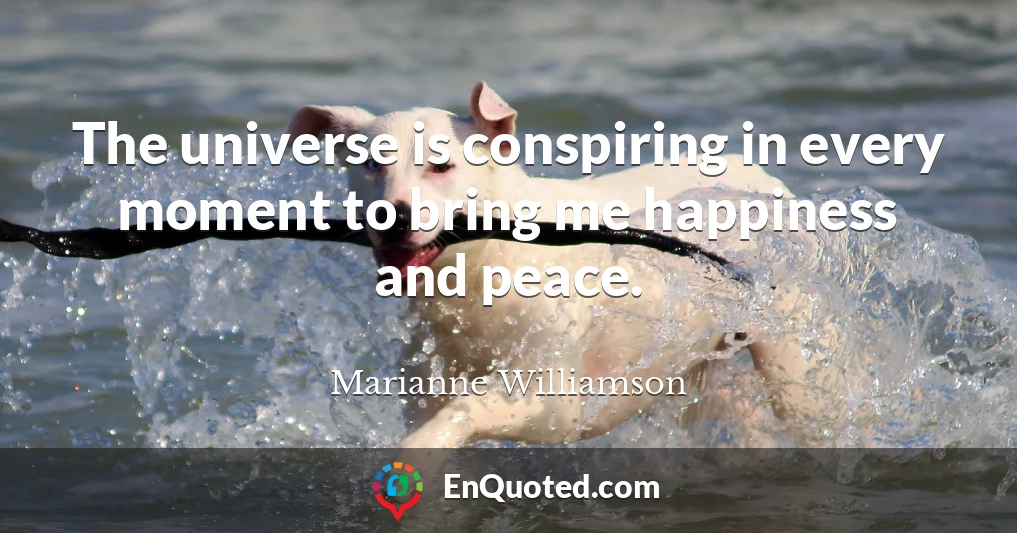 The universe is conspiring in every moment to bring me happiness and peace.