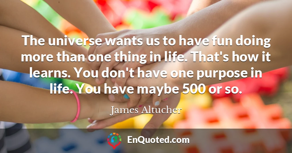 The universe wants us to have fun doing more than one thing in life. That's how it learns. You don't have one purpose in life. You have maybe 500 or so.