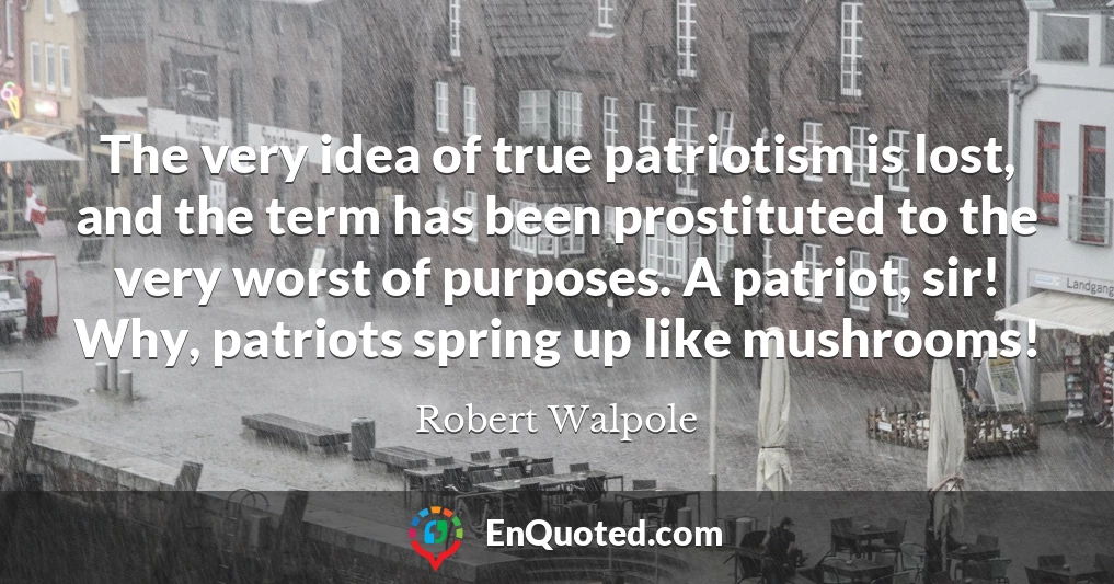 The very idea of true patriotism is lost, and the term has been prostituted to the very worst of purposes. A patriot, sir! Why, patriots spring up like mushrooms!