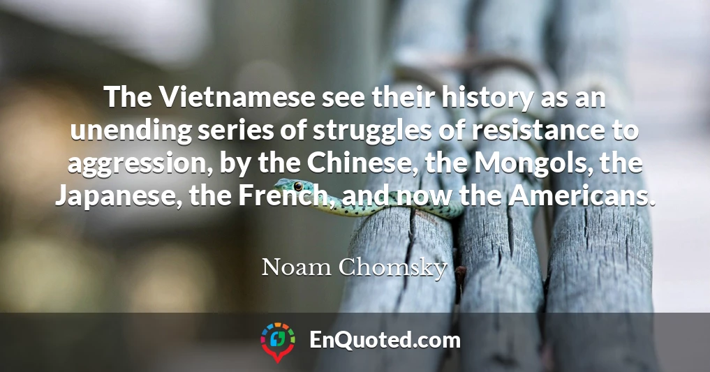 The Vietnamese see their history as an unending series of struggles of resistance to aggression, by the Chinese, the Mongols, the Japanese, the French, and now the Americans.