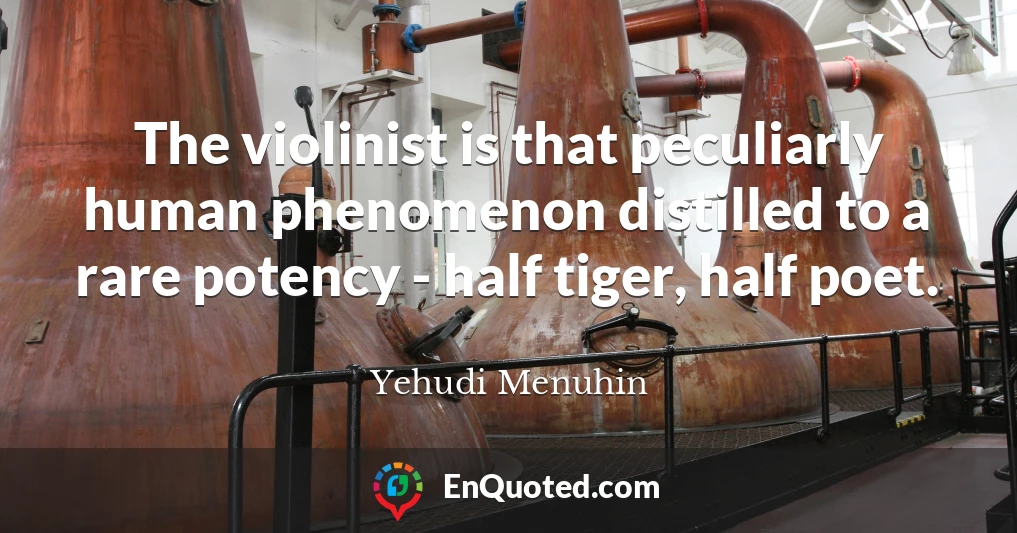 The violinist is that peculiarly human phenomenon distilled to a rare potency - half tiger, half poet.