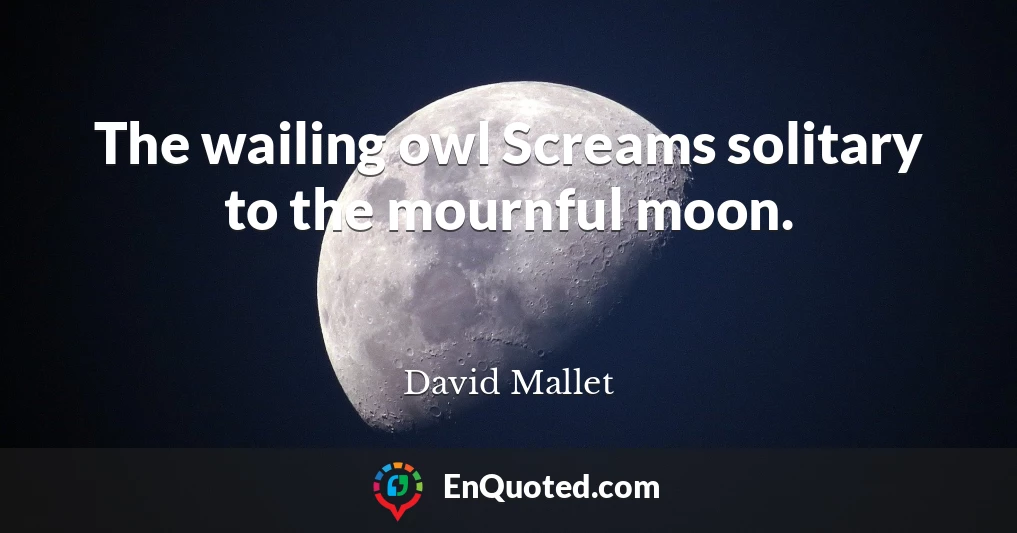 The wailing owl Screams solitary to the mournful moon.