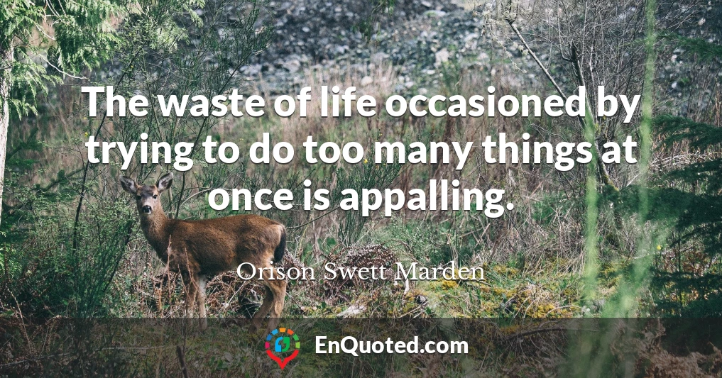 The waste of life occasioned by trying to do too many things at once is appalling.