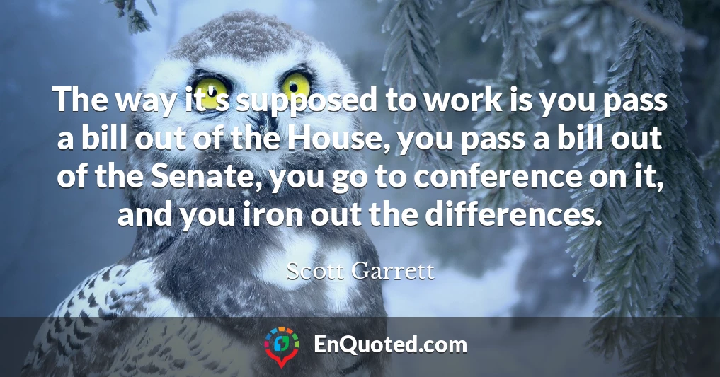 The way it's supposed to work is you pass a bill out of the House, you pass a bill out of the Senate, you go to conference on it, and you iron out the differences.