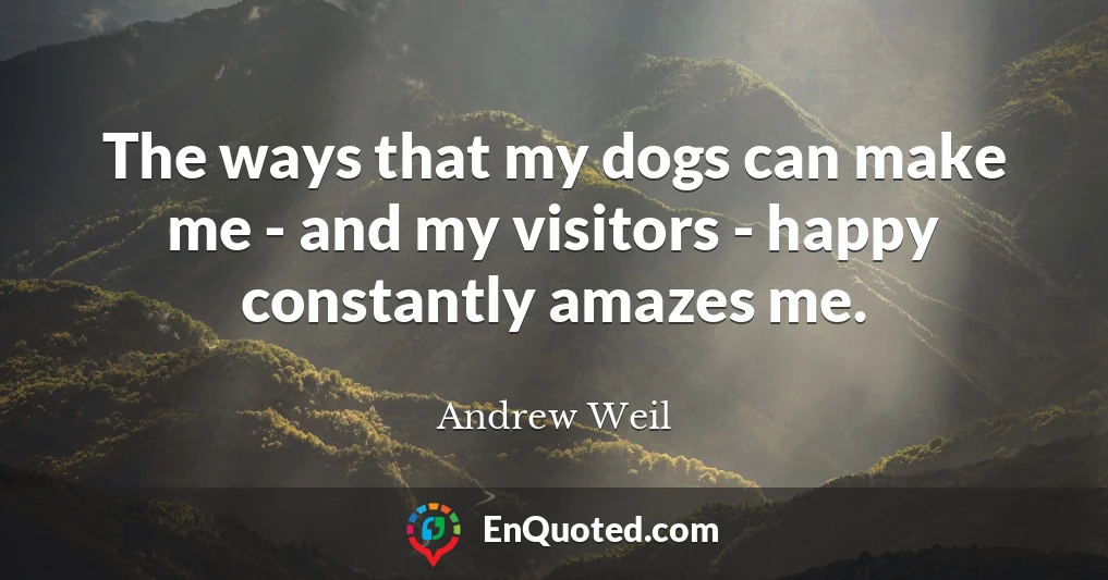 The ways that my dogs can make me - and my visitors - happy constantly amazes me.