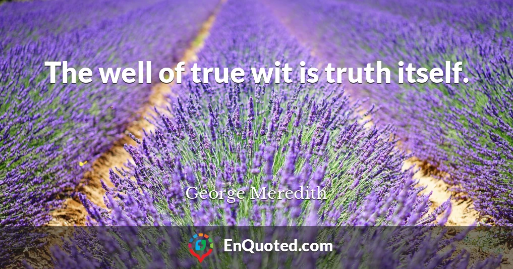 The well of true wit is truth itself.