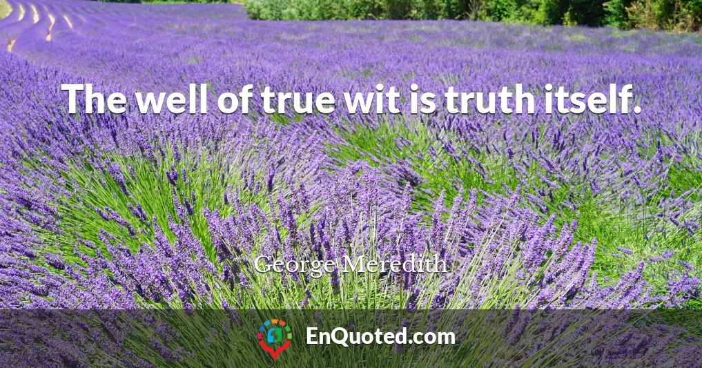 The well of true wit is truth itself.