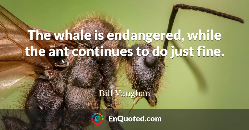 The whale is endangered, while the ant continues to do just fine.