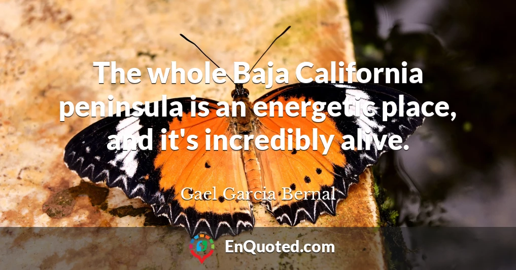The whole Baja California peninsula is an energetic place, and it's incredibly alive.