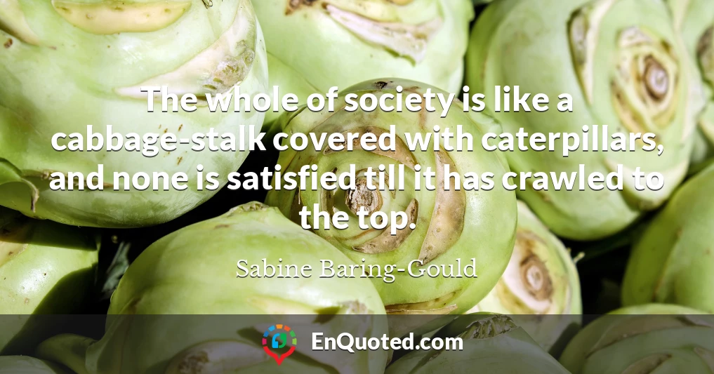 The whole of society is like a cabbage-stalk covered with caterpillars, and none is satisfied till it has crawled to the top.