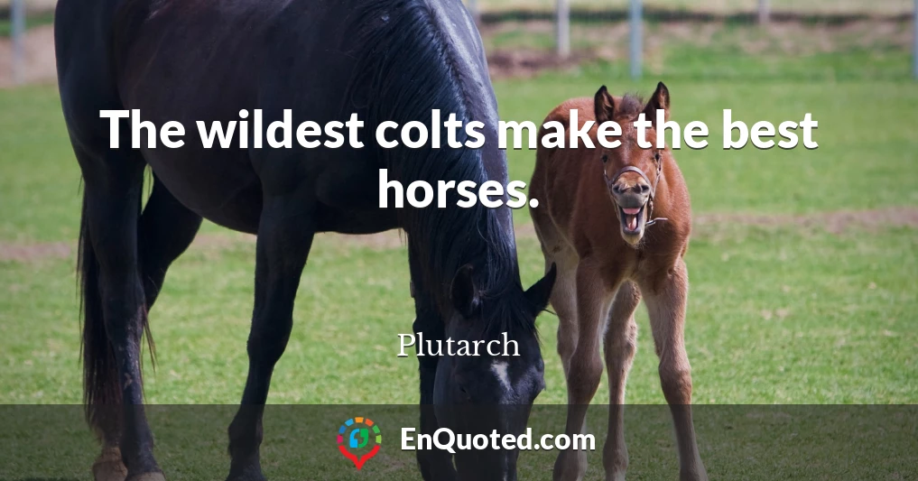 The wildest colts make the best horses.