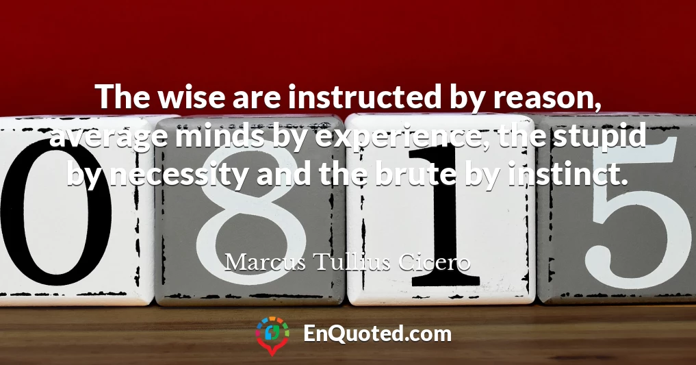 The wise are instructed by reason, average minds by experience, the stupid by necessity and the brute by instinct.