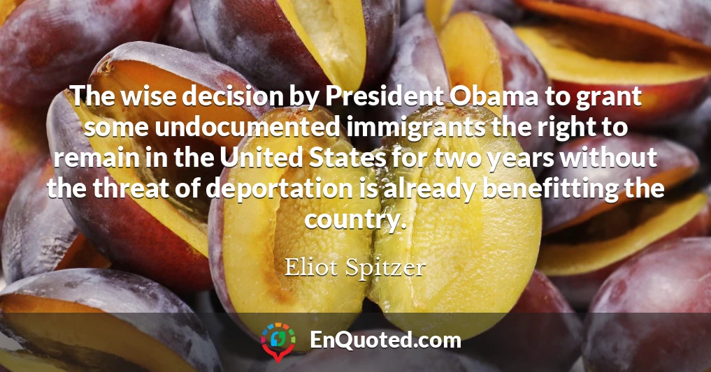 The wise decision by President Obama to grant some undocumented immigrants the right to remain in the United States for two years without the threat of deportation is already benefitting the country.