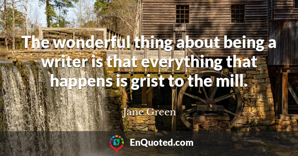 The wonderful thing about being a writer is that everything that happens is grist to the mill.