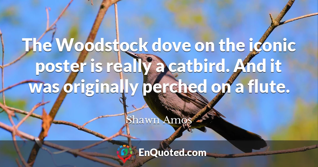 The Woodstock dove on the iconic poster is really a catbird. And it was originally perched on a flute.