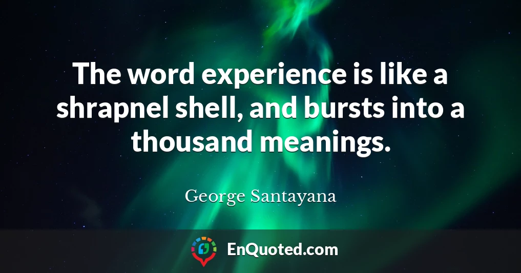 The word experience is like a shrapnel shell, and bursts into a thousand meanings.