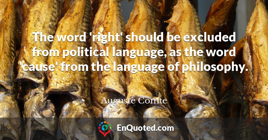 The word 'right' should be excluded from political language, as the word 'cause' from the language of philosophy.