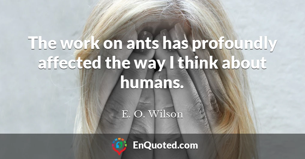 The work on ants has profoundly affected the way I think about humans.