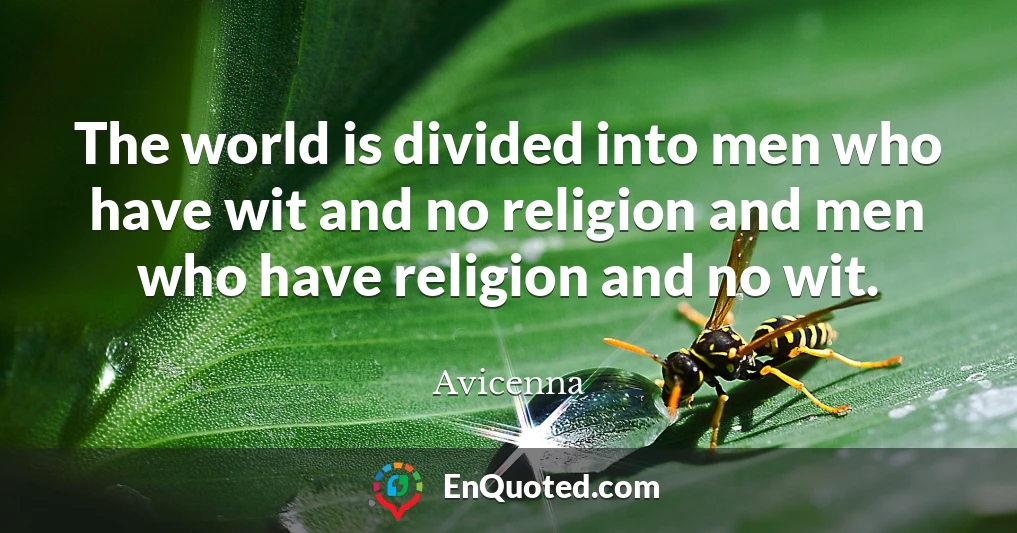The world is divided into men who have wit and no religion and men who have religion and no wit.