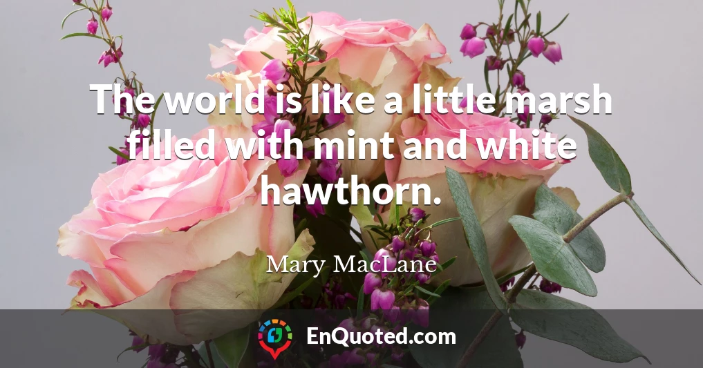 The world is like a little marsh filled with mint and white hawthorn.