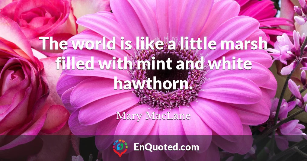 The world is like a little marsh filled with mint and white hawthorn.