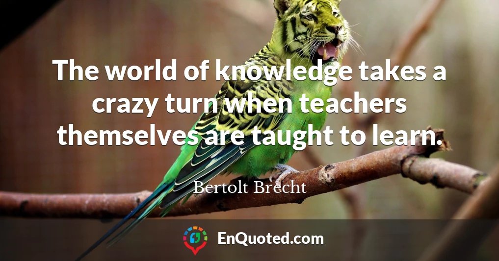 The world of knowledge takes a crazy turn when teachers themselves are taught to learn.