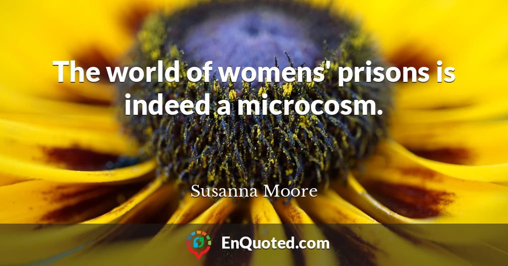 The world of womens' prisons is indeed a microcosm.